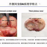 WeChat_uq1co9E3KG